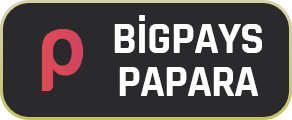 Bigpayss Papara